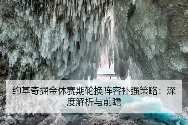 约基奇掘金休赛期轮换阵容补强策略：深度解析与前瞻